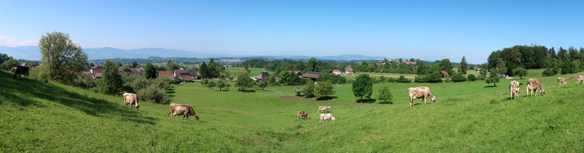 Oberdürnten Blick Richtung Bubikon