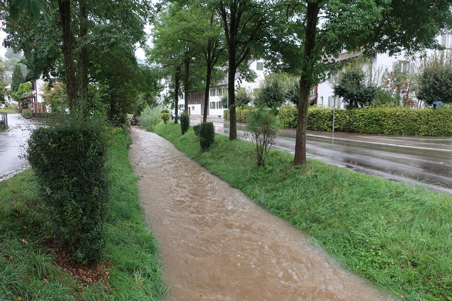 2020.08.30 Dorfbach. Beim Grüetzibrüggli