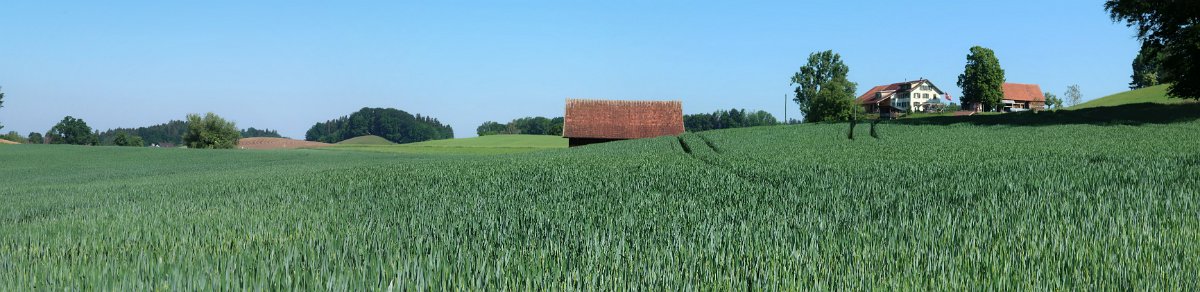 Harzacher und Frohbüel