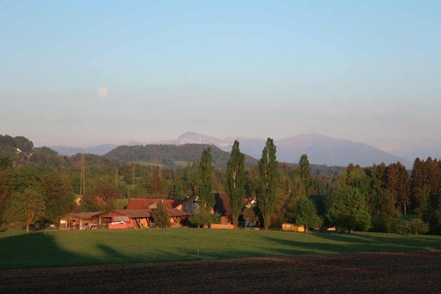 Tamel mit Vollmond und Speer