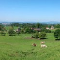 Oberdürnten Blick Richtung Bubikon