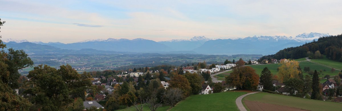 2020.10.20 Sicht von der Forch